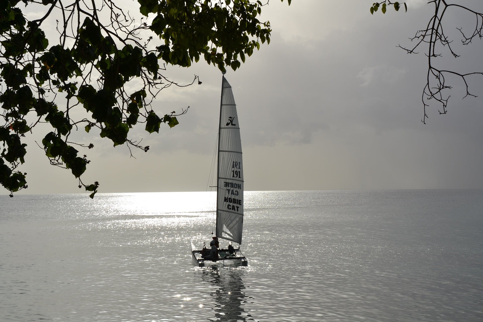 Peaceful Catamaran Sailing