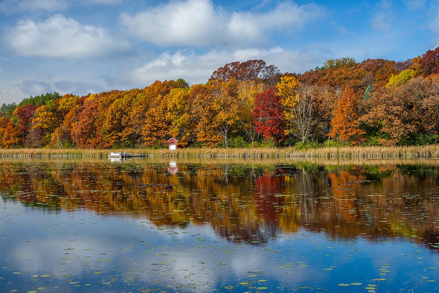 Fall Break in Minnesota